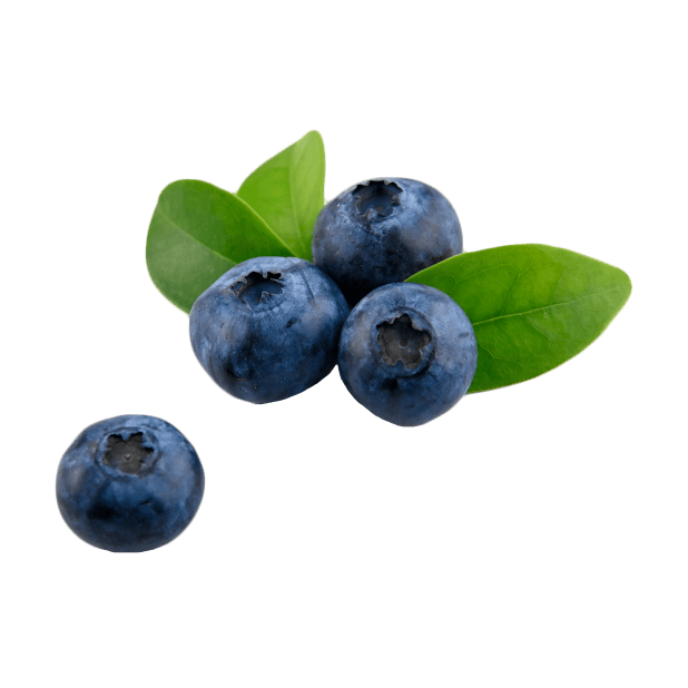 blueberries